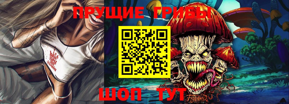 Псилоцибиновые грибы Cubensis Сальск